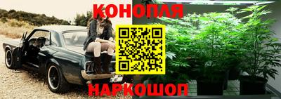 эйфоретик Краснокаменск