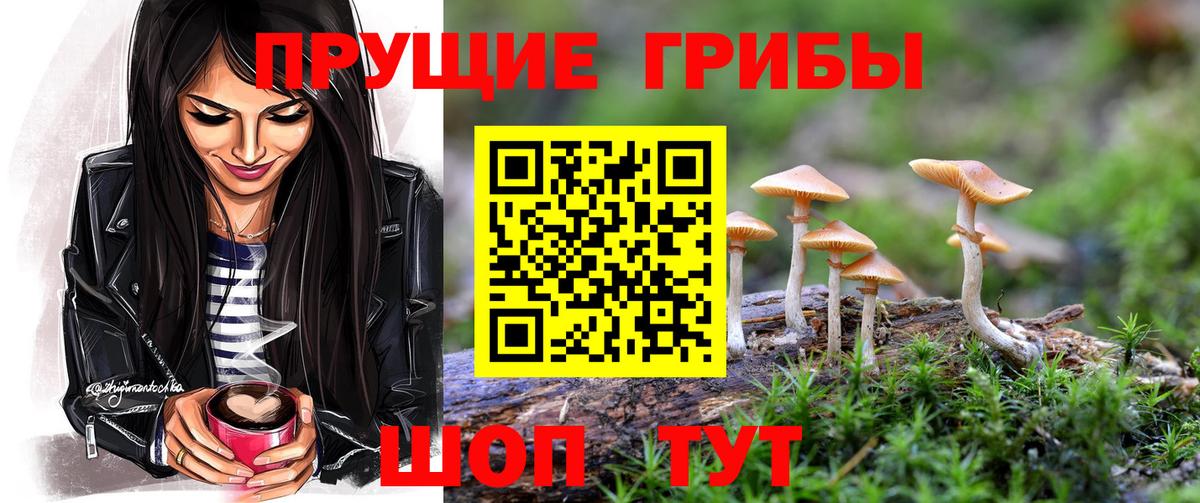 Ярцево  Псилоцибиновые грибы Magic Shrooms  Вход с VPN 